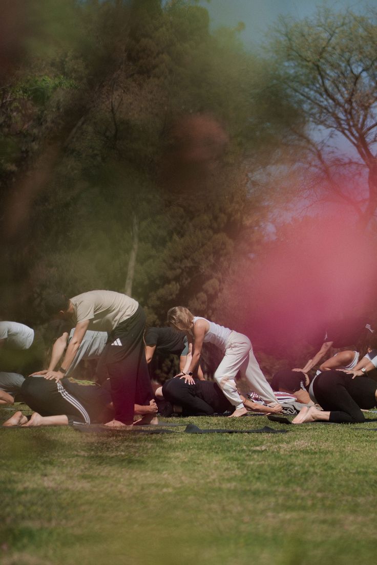 Group stretching at a tree-lined path